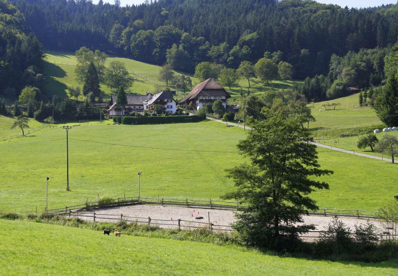 Kempfenhof Seelbach  Exterior photo
