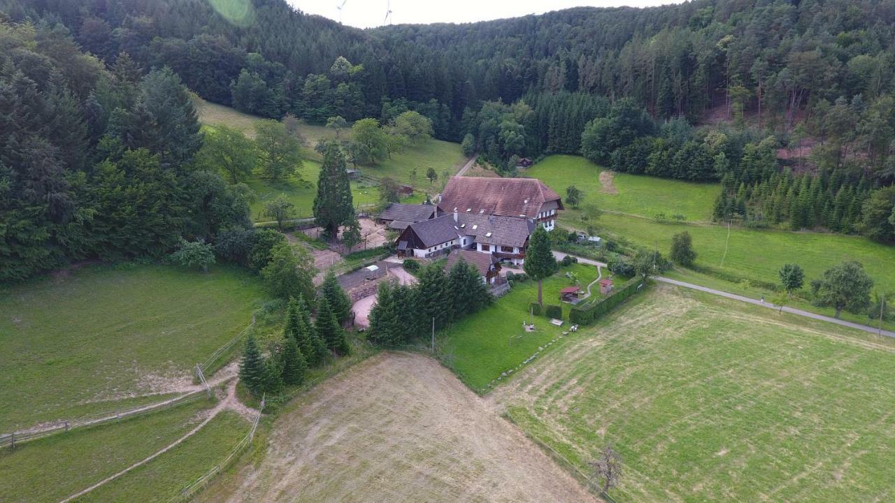 Kempfenhof Seelbach  Exterior photo