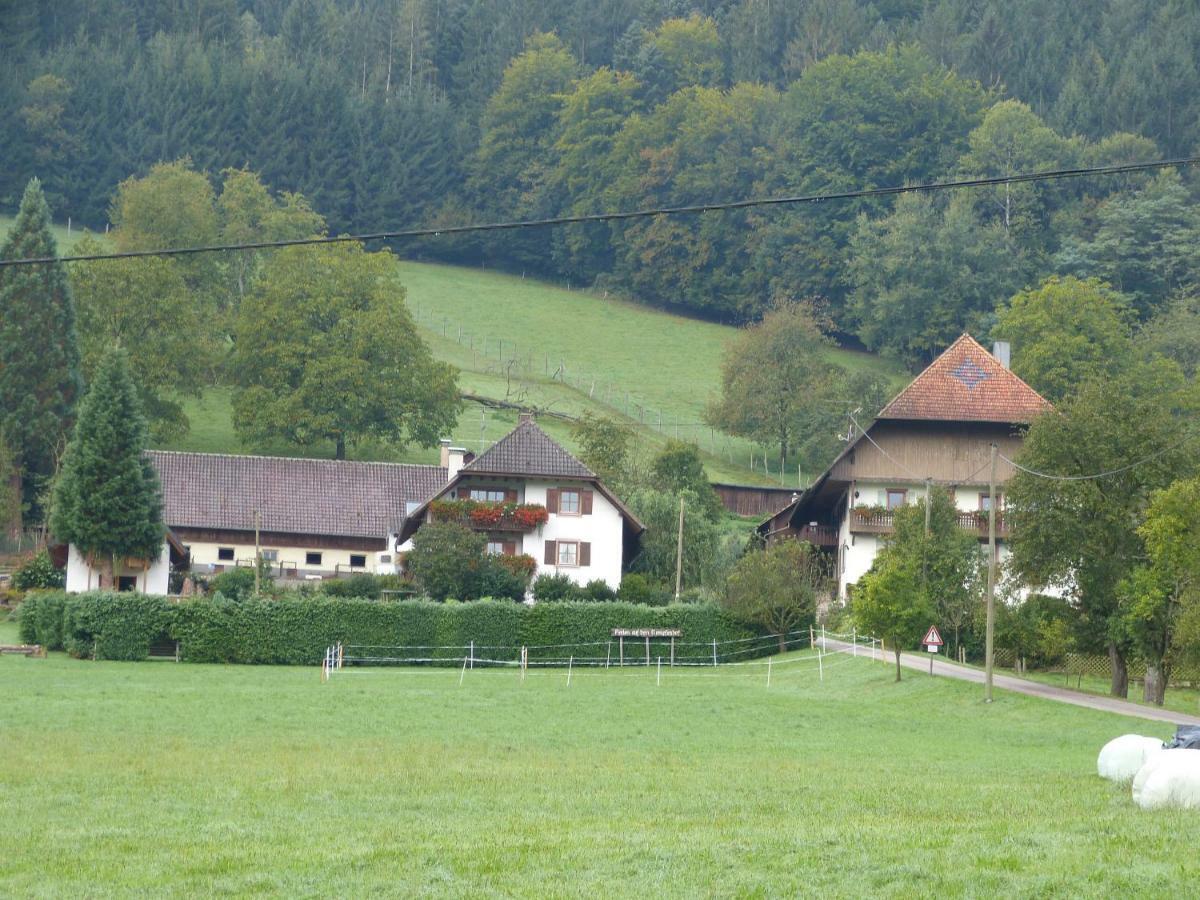 Kempfenhof Seelbach  Exterior photo